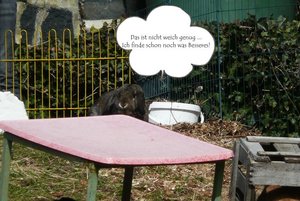 P1070991 Michel topmodel 2.jpg