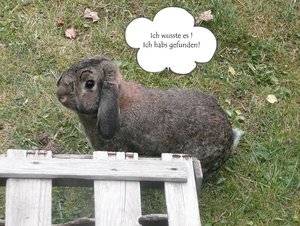 P1090613 Michel Topmodel 3.jpg