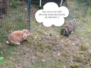 P1090615 michel topmodel 4.jpg