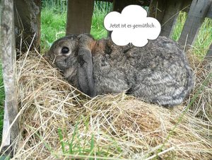 P1120727 michel topmodel 5.JPG