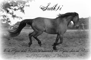 aeb6it5r.jpg aeb6it5r.jpg