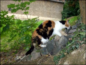 alles mÃ¶gliche plus 097.JPG