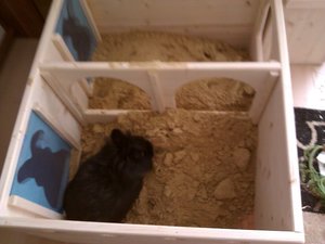 Max in Buddelkiste.jpg