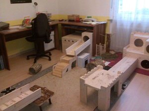 Buddelkiste im Zimmer.jpg