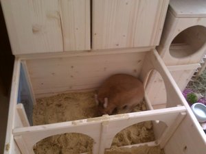 Emely in Buddelkiste.jpg