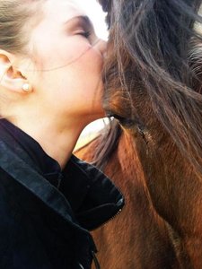 Arabie 96 - Freund - Top horse.JPG