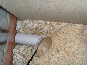 7809532hwp.jpg 7809532hwp.jpg