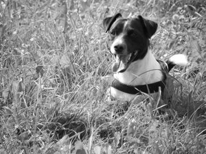 DSCF1731.jpg DSCF1731.jpg