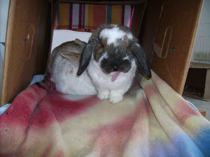 PICT0012.jpg PICT0012.jpg