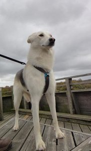 Malou3.jpg Malou3.jpg