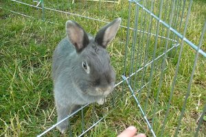 P1070044 - Kopie.JPG