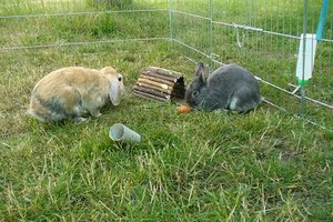 P1070048 - Kopie.JPG