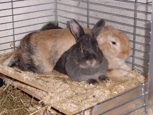 CIMG0017 - Kopie.JPG