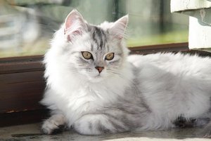 Amelie - Urlaubsfeeling.JPG