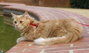 Arvid - Urlaubsfeeling.JPG