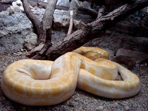 K640_DSC06311_.JPG K640_DSC06311_.JPG