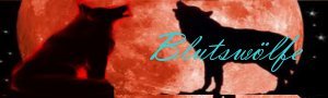 BlutswÃ¶lfe-Banner.jpeg