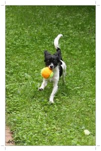 06.08 (36).JPG 06.08 (36).JPG