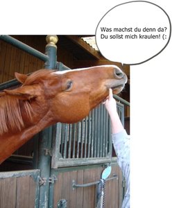 lexy1994 - SprÃ¼che.jpg