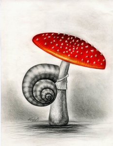 K640_Schneckchen 06.JPG