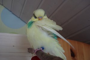 002 (4).JPG 002 (4).JPG