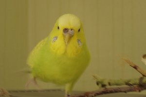 DSC05312 - Kopie.JPG DSC05312 - Kopie.JPG