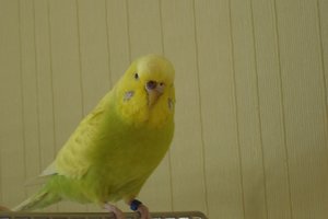 DSC05272.JPG DSC05272.JPG