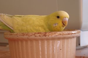 Ordner neu 037 (2).jpg Ordner neu 037 (2).jpg