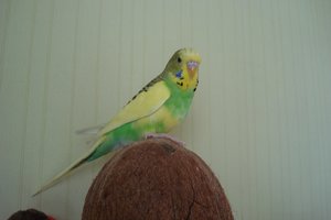 029 - Kopie.JPG 029 - Kopie.JPG