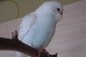 DSC05126.JPG DSC05126.JPG