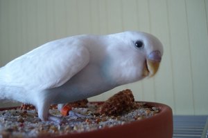 DSC05080.JPG DSC05080.JPG