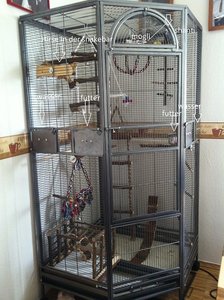 Voliere komplett.JPG