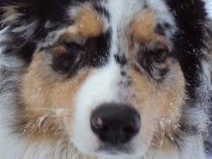 8344984lns.jpg 8344984lns.jpg