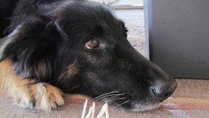 IMG_1196.JPG IMG_1196.JPG