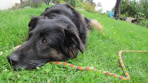 IMG_1207.JPG IMG_1207.JPG