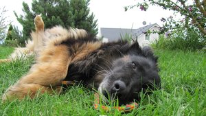 IMG_1212.JPG IMG_1212.JPG