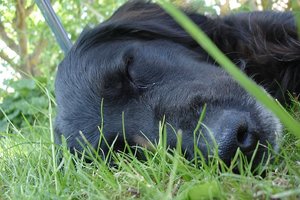 DSC05563.JPG DSC05563.JPG