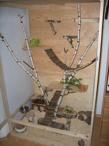 DSCI0248a.jpg DSCI0248a.jpg