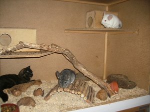 DSCI0008a.jpg DSCI0008a.jpg