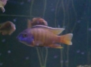 IMG_0475.JPG IMG_0475.JPG