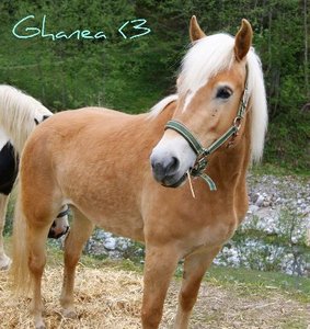 277601_239417296077771_100000285086898_919052_3398327_o.jpg 277601_239417296077771_100000285086898_919052_3398327_o.jpg