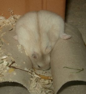 DSC08666.JPG DSC08666.JPG