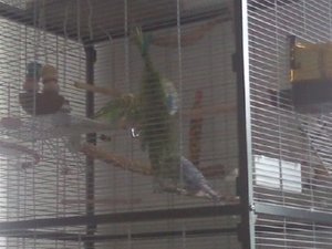 Foto082.jpg Foto082.jpg