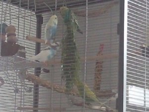 Foto087.jpg Foto087.jpg