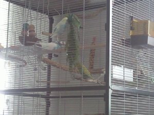 Foto088.jpg Foto088.jpg