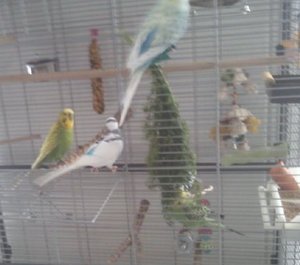 Foto089.jpg Foto089.jpg