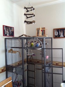 ich guck mal raus.jpg