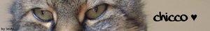 ChiccoBD1.jpg