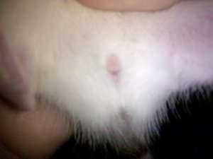 2011-08-24_14-50-02_615 - Kopie.jpg