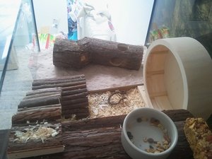 2011-09-04 11.58.45.jpg